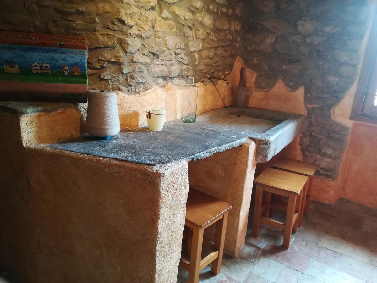 Casa El Frances Apartment Граус Екстериор снимка